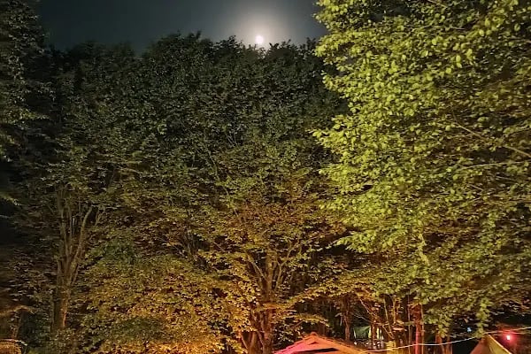 Ayvaz Camping, Kamp - Resim 4