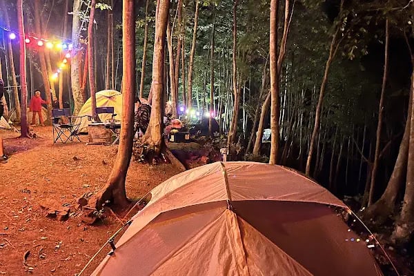 Ayvaz Camping, Kamp - Resim 8