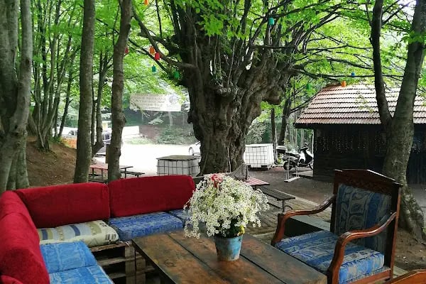 Ayvaz Camping, Kamp - Resim 20