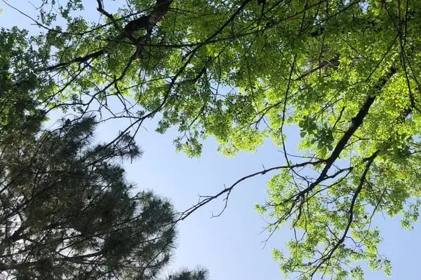 KBB-Birlik Parkı - Resim 18