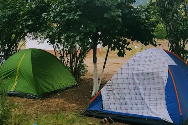 Ekincik Kamping - Resim 10
