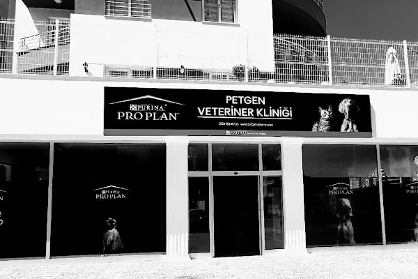 Petgen Veteriner Kliniği - Resim 10