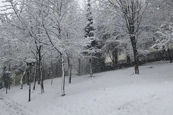 Karadeniz Teknik Üniversitesi - Resim 7