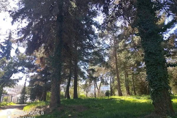 Karadeniz Teknik Üniversitesi - Resim 16