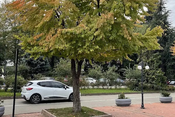 Karadeniz Teknik Üniversitesi - Resim 14