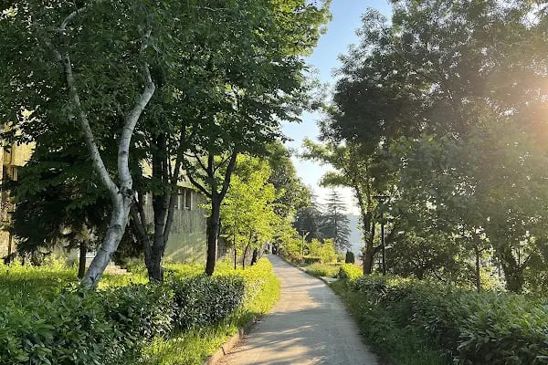 Karadeniz Teknik Üniversitesi - Resim 17