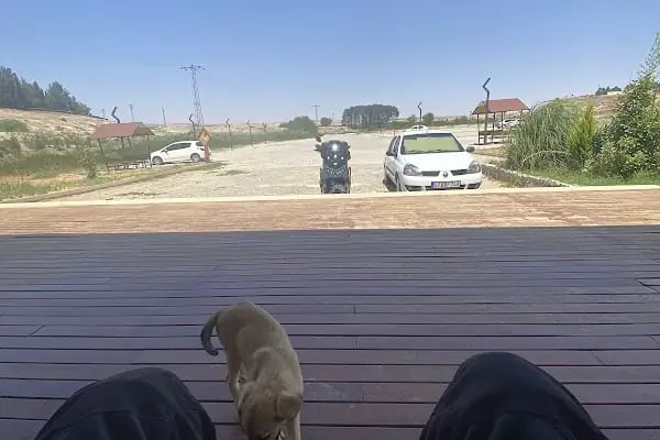 Karkamış Antik Kenti - Resim 3
