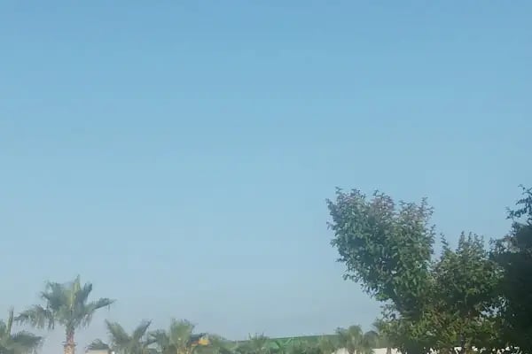 Zeyda Hotel Lara - Resim 17