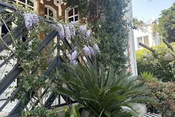 Sergüzeşt Otel Büyükada - Resim 18