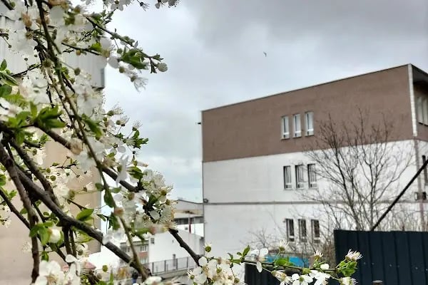 İşgir Ortaokulu - Resim 18
