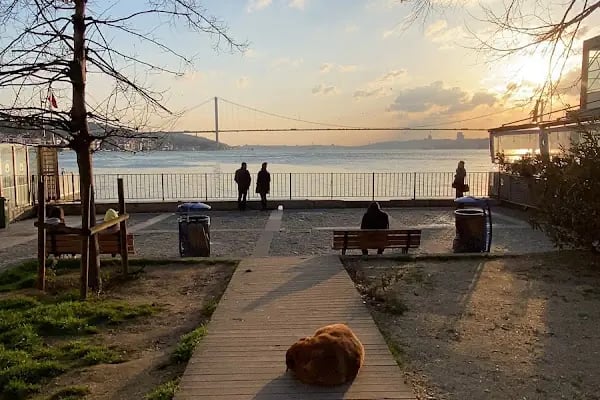 Merkez Avcılar Taksi - Resim 15