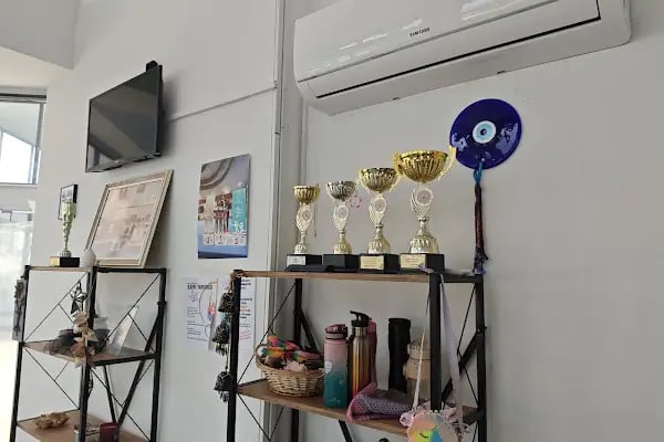 Stars Gymnastics Alanya - Resim 5