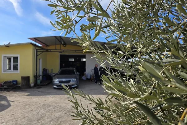 Soğuk Sıkım Zeytinyağı Fabrikası ATİKLER - Resim 10