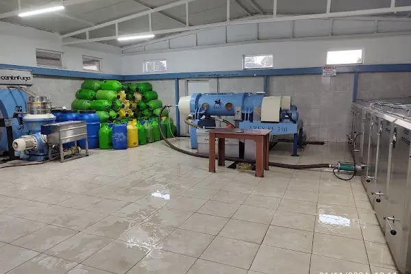 Soğuk Sıkım Zeytinyağı Fabrikası ATİKLER - Resim 12
