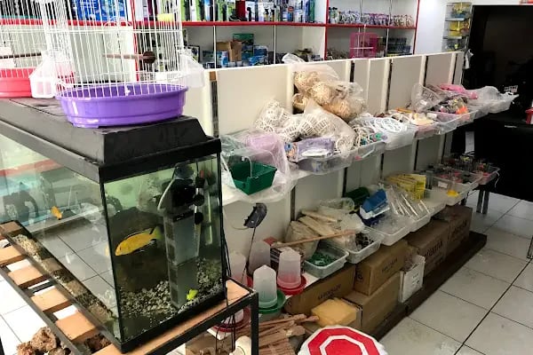 Kumluca Akvaryum-Petshop - Resim 8