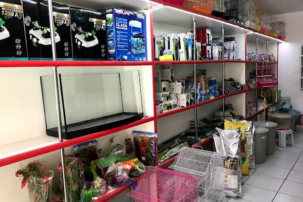 Kumluca Akvaryum-Petshop - Resim 9