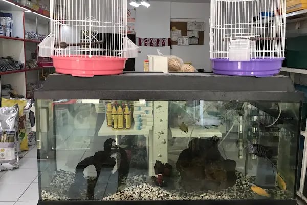 Kumluca Akvaryum-Petshop - Resim 3