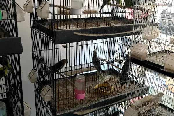 Kumluca Akvaryum-Petshop - Resim 6