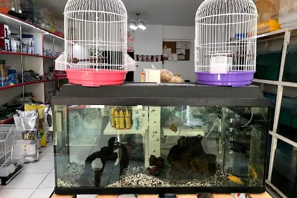 Kumluca Akvaryum-Petshop - Resim 1