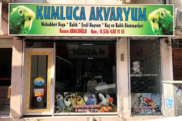 Kumluca Akvaryum-Petshop - Resim 2