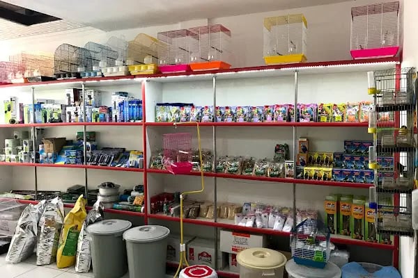 Kumluca Akvaryum-Petshop - Resim 4