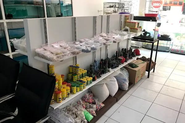 Kumluca Akvaryum-Petshop - Resim 7