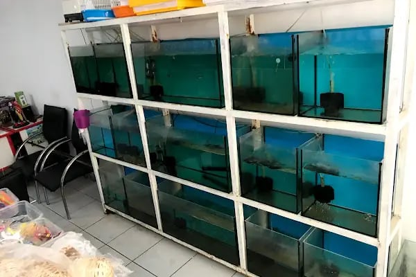 Kumluca Akvaryum-Petshop - Resim 5