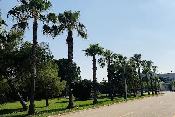 Çukurova Üniversitesi Öğrenci İşleri - Resim 14
