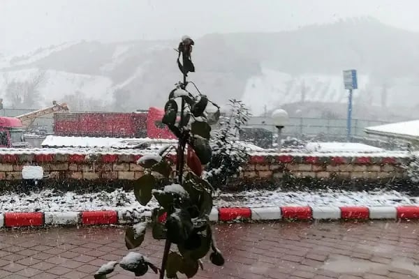 Murat Teknik Otomat Sanayi ve Ticaret A.Ş. - Resim 14