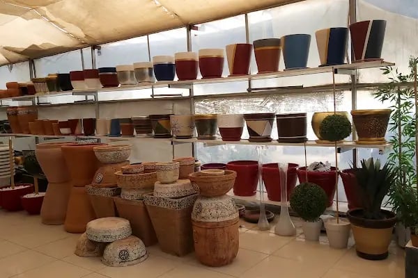 ALANYA BOTANİK PEYZAJ VE ÇİÇEK - Resim 9