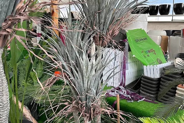 ALANYA BOTANİK PEYZAJ VE ÇİÇEK - Resim 10