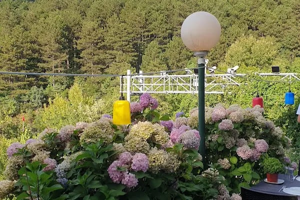 Değirmen Restaurant - Uludağ Yolunda Manzara ve Lezzet - Resim 15