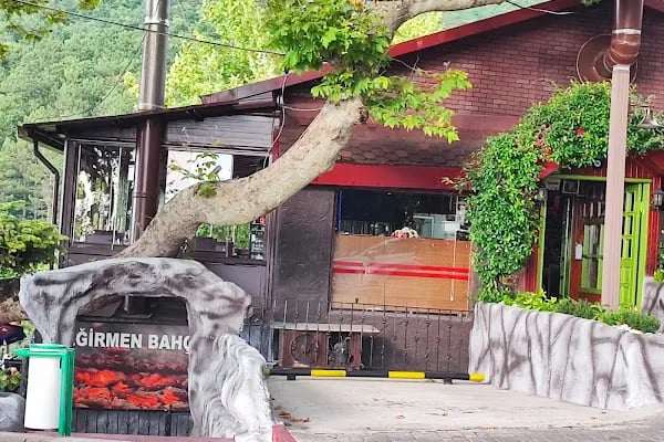 Değirmen Restaurant - Uludağ Yolunda Manzara ve Lezzet - Resim 18
