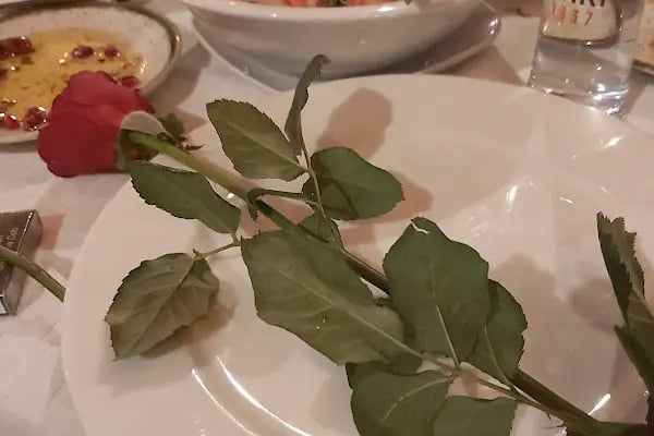 Değirmen Restaurant - Uludağ Yolunda Manzara ve Lezzet - Resim 10
