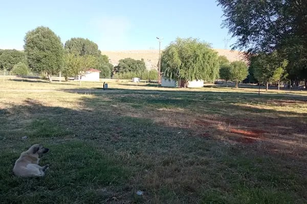 Aşağı Boğaz Mesire Alanı - Resim 5