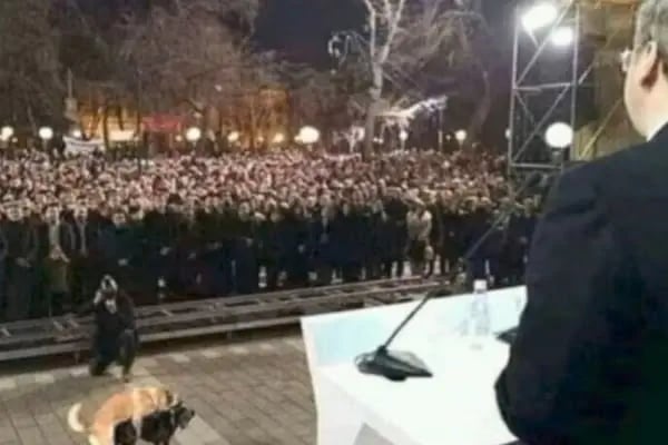 Aşağı Boğaz Mesire Alanı - Resim 7
