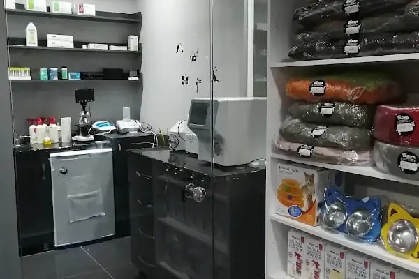 Arya Veteriner Kliniği - Resim 2