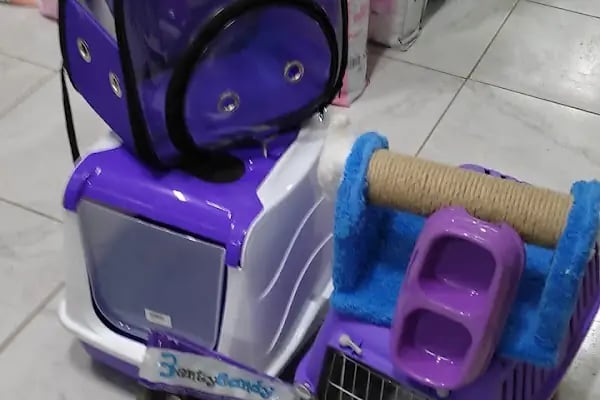 Ceren petshop - Resim 20