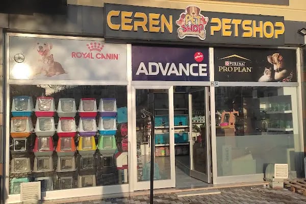 Ceren petshop - Resim 11