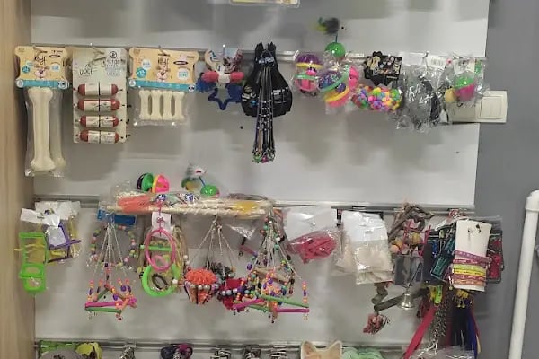Ceren petshop - Resim 6