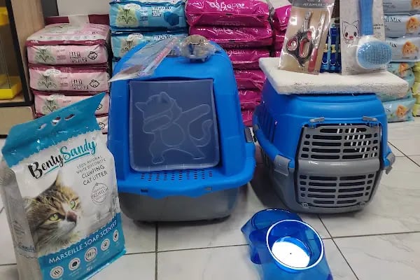 Ceren petshop - Resim 4