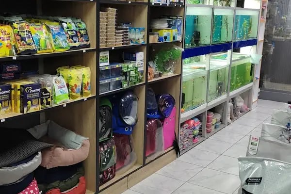 Ceren petshop - Resim 2