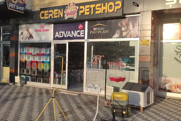 Ceren petshop - Resim 16