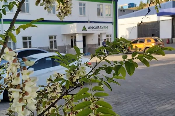 Ankara Yem - Resim 11