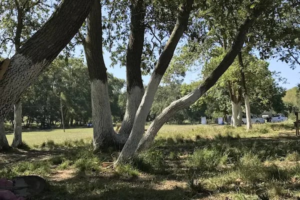 Ünlü Piknik Alanı Turan Ünlü - Resim 9
