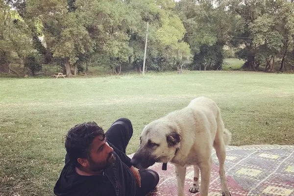 Ünlü Piknik Alanı Turan Ünlü - Resim 6