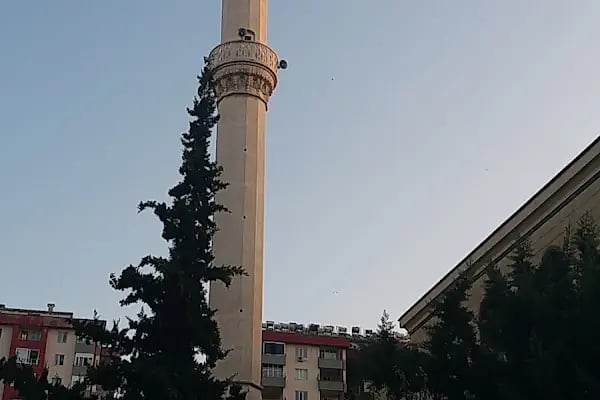 Avşar Cami - Resim 9