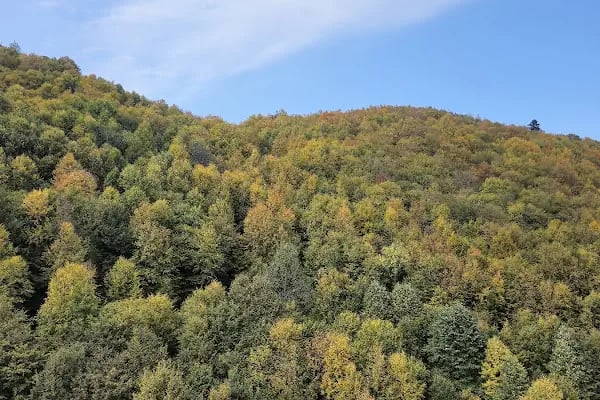 Kartepe Teleferik - Resim 12