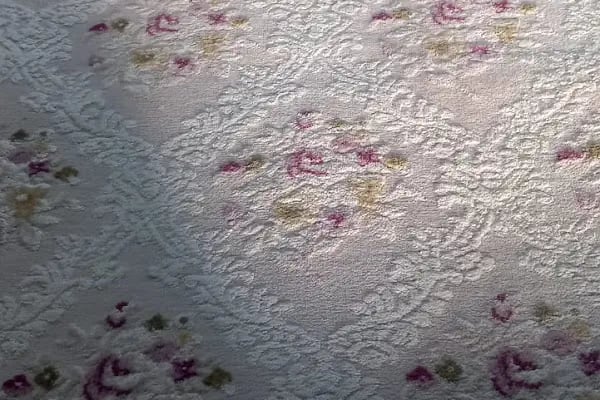 Dolphin Dry Kurutemizleme halı yıkama - Resim 10