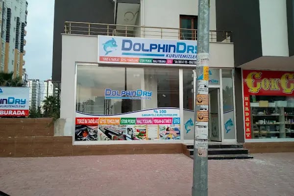Dolphin Dry Kurutemizleme halı yıkama - Resim 12